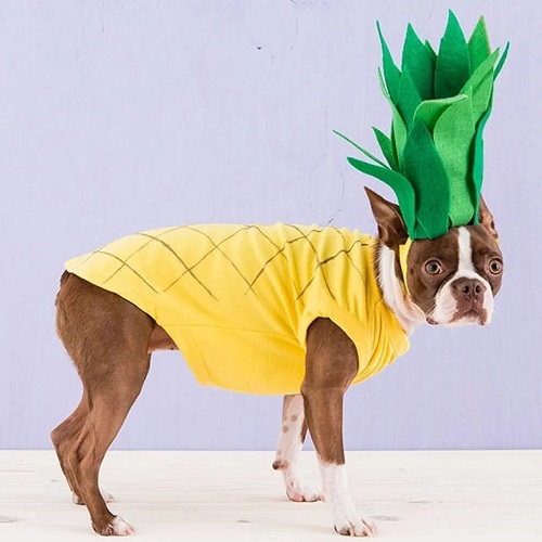 DIY Pineapple Costume 10
