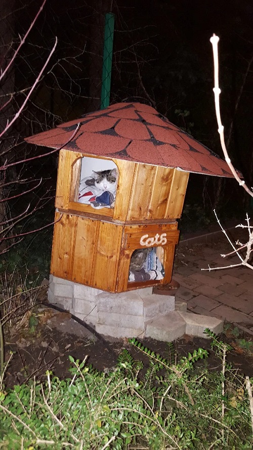 DIY Outdoor Cat House Ideas 1