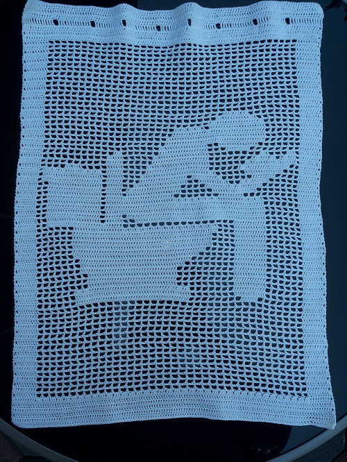 Guest Toilet Crochet Curtain Pattern