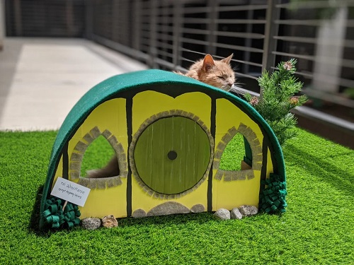 DIY Outdoor Cat House Ideas 6
