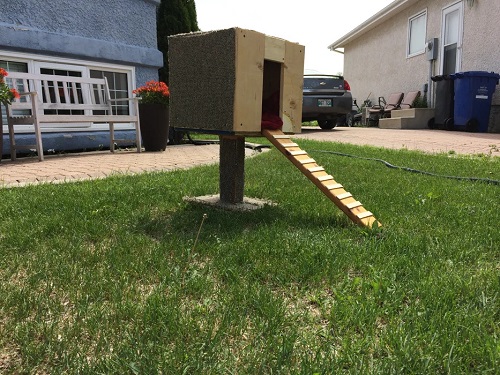 DIY Outdoor Cat House Ideas 2