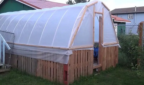 DIY Pallet Greenhouse Ideas 5
