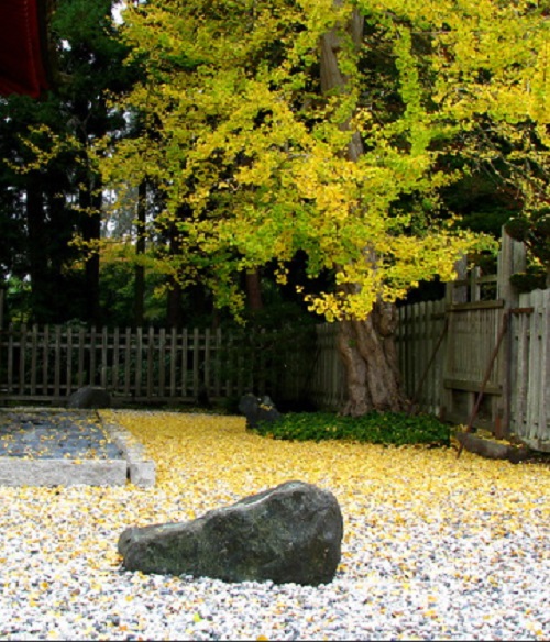 Zen Garden with Golden Leaves and Stones