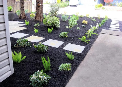 Black Garden Bed With Foxtail Ferns