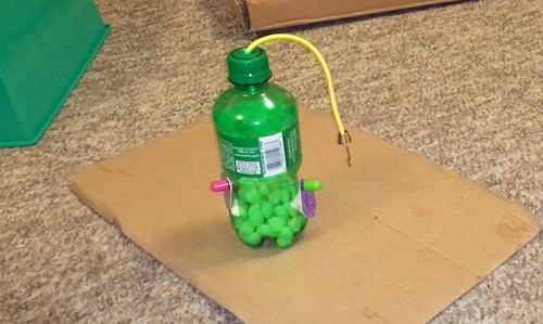 DIY Bottle Foraging Toy