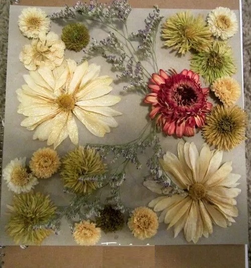 Dried Flowers Box