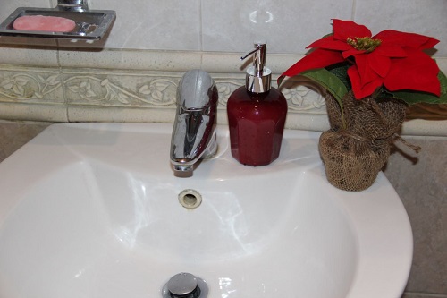 Poinsettia in Bathroom