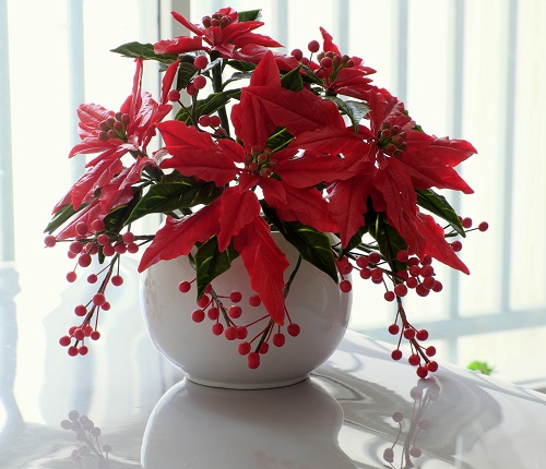 Poinsettia and Berries