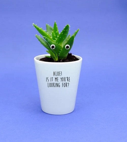 Plants with Googly Eyes Ideas 3