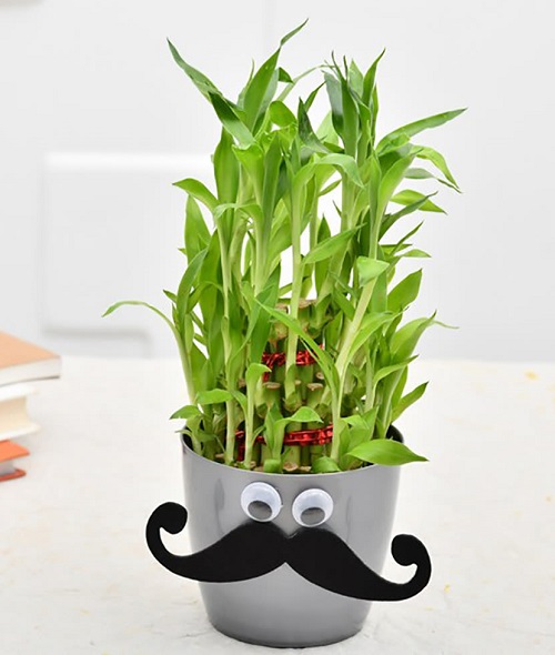 Plants with Googly Eyes Ideas 7
