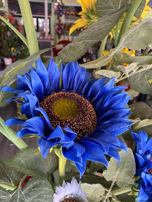 Blue Sunflowers 1