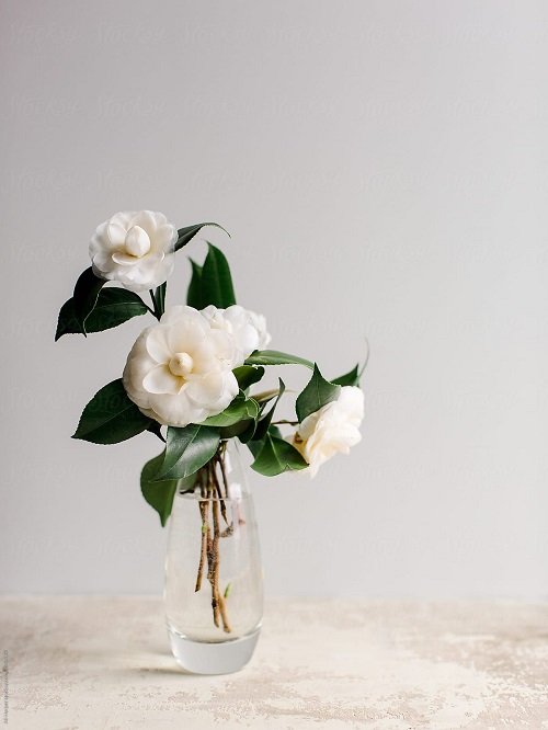 White Flower Arrangements 20