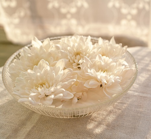Chrysanthemum Bowl Display