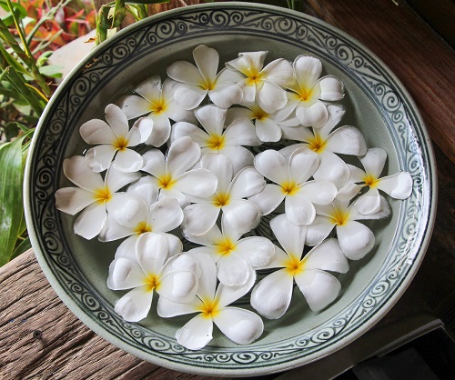 White Flower Arrangements 15