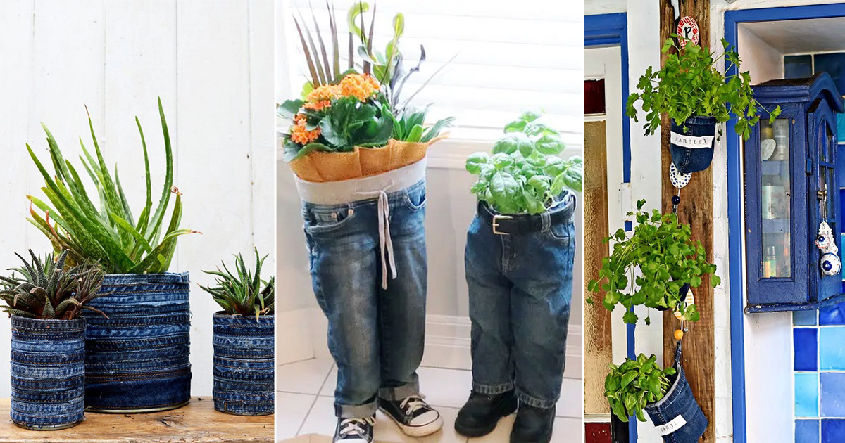 8 Creative DIY Jeans Planter Ideas Hello Lidy