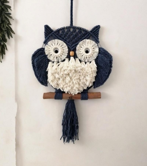 DIY Stunning Macrame Owl Wall Hanging