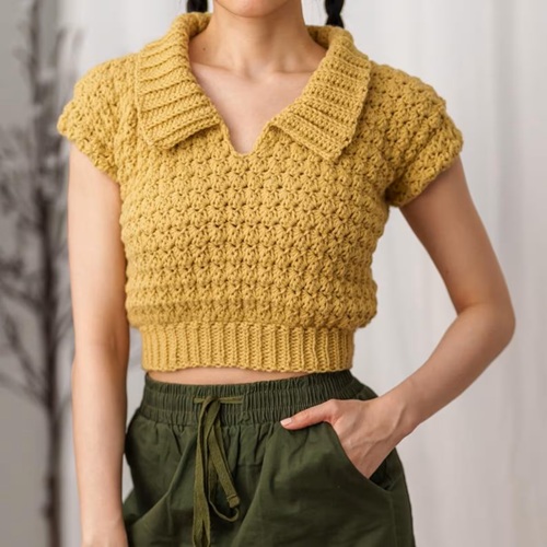 Short Sleeve Collared Top
