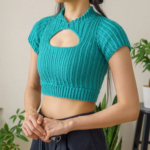 Short Sleeve Crop Top