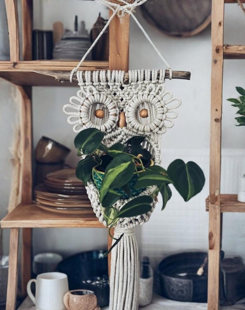 Macrame Owl Plant Holder