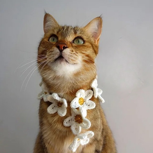 Crochet Daisy Chain Cat Scarf