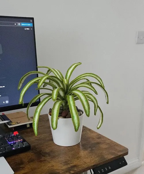 Crochet Spider Plant Free Patterns 1