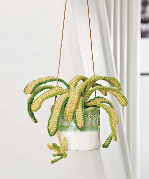 crochet hanging spider plant