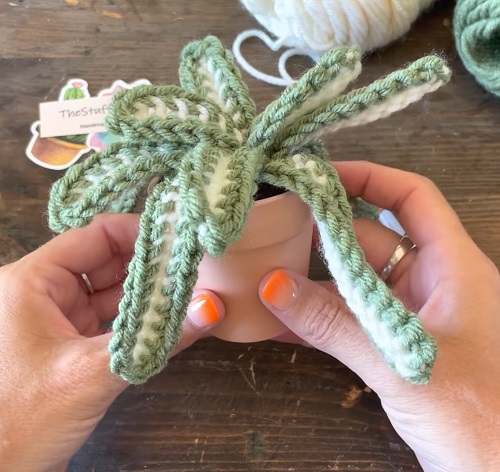 Crochet Spider Plant Free Patterns 5