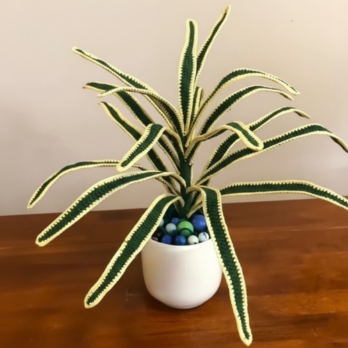 Handcrafted Spider Plants with Yellow Edges