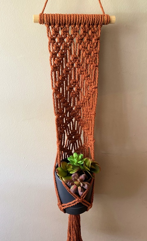 Macrame Plant Hanger