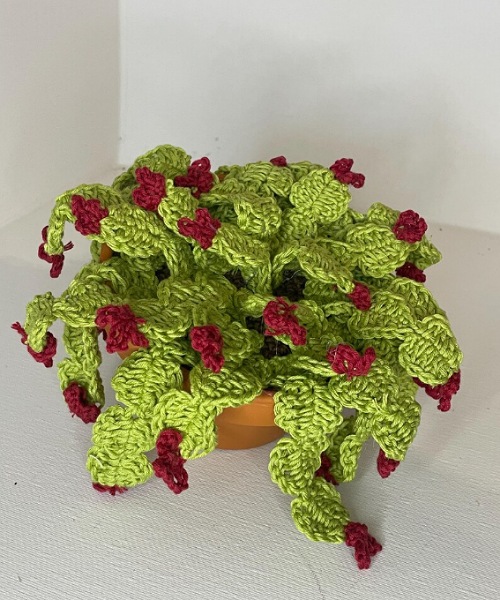Crochet christmas cactus patterns