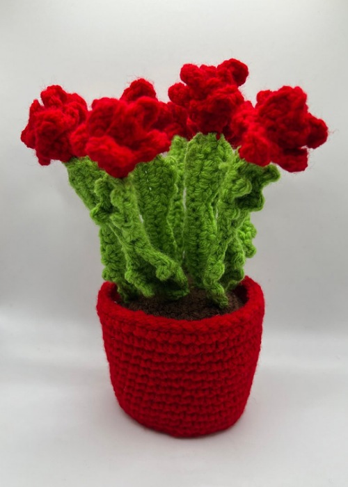 Crochet christmas cactus