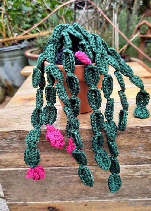 Crochet christmas cactus