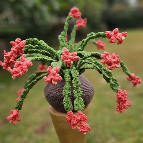 Crochet christmas cactus patterns