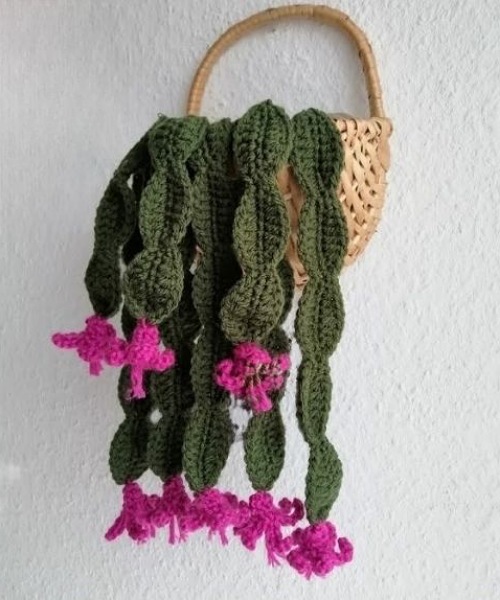 Crochet christmas cactus patterns