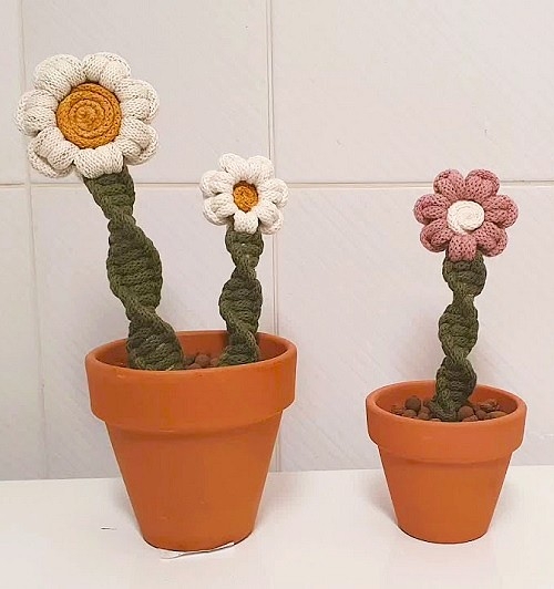 DIY Potted Macrame Flowering Plant