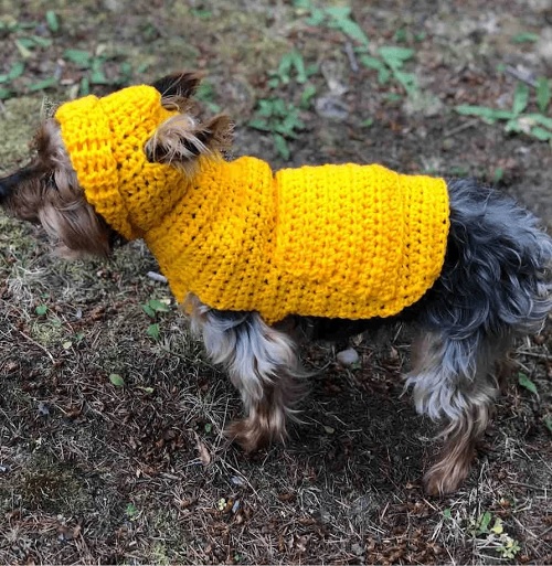 Jack’s Small Dog Hoodie Sweate
