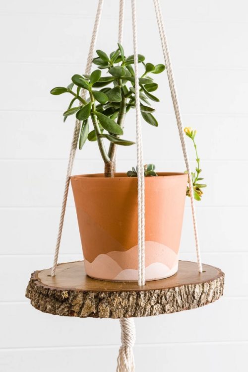 Macrame Plant Hanger For Bathroom