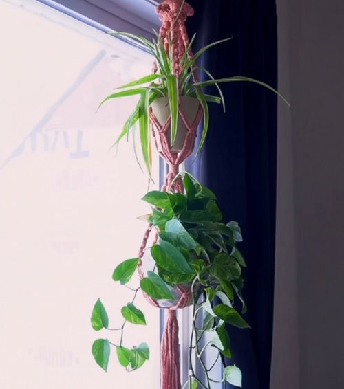 Tiered Macrame Plant Hanger Free Patterns 3