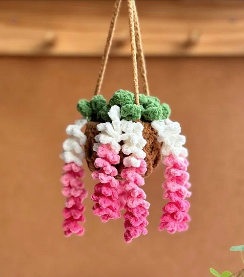 Wisteria Plant Basket