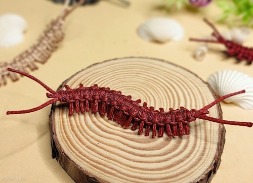 Macrame Insects Free Patterns 1